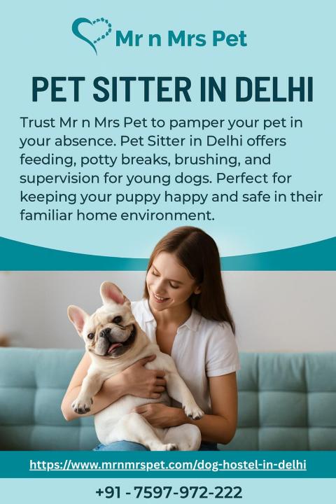 Pet Sitter in Delhi