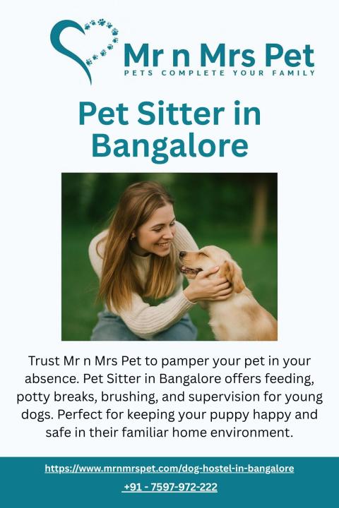 Pet Sitter in Bangalore
