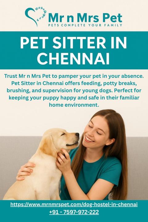 Pet Sitter in Chennai
