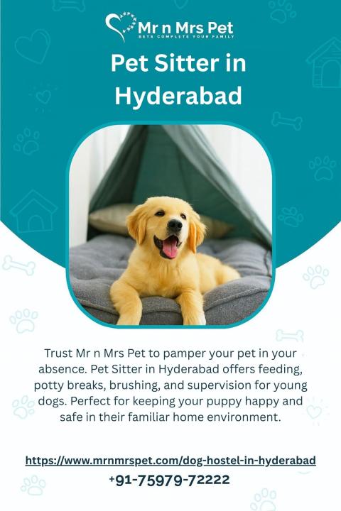 Pet Sitter in Hyderabad