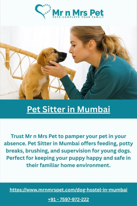 Pet Sitter in Mumbai