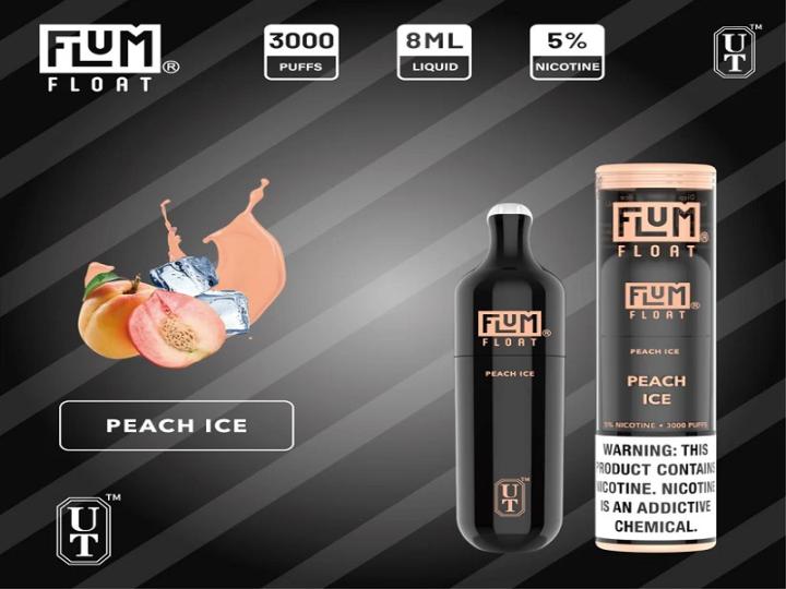 Flum Float Black Edition – 3000 Puffs 10pk | USA Vape