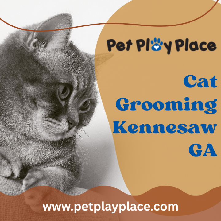 Expert Cat Grooming in Kennesaw GA – Gentle Care Your Feline Deserves