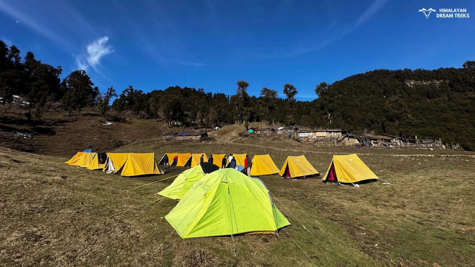 A peaceful campsite at Dayara Bugyal, where trekkers can enjoy the serenity of nature under a clear sky.