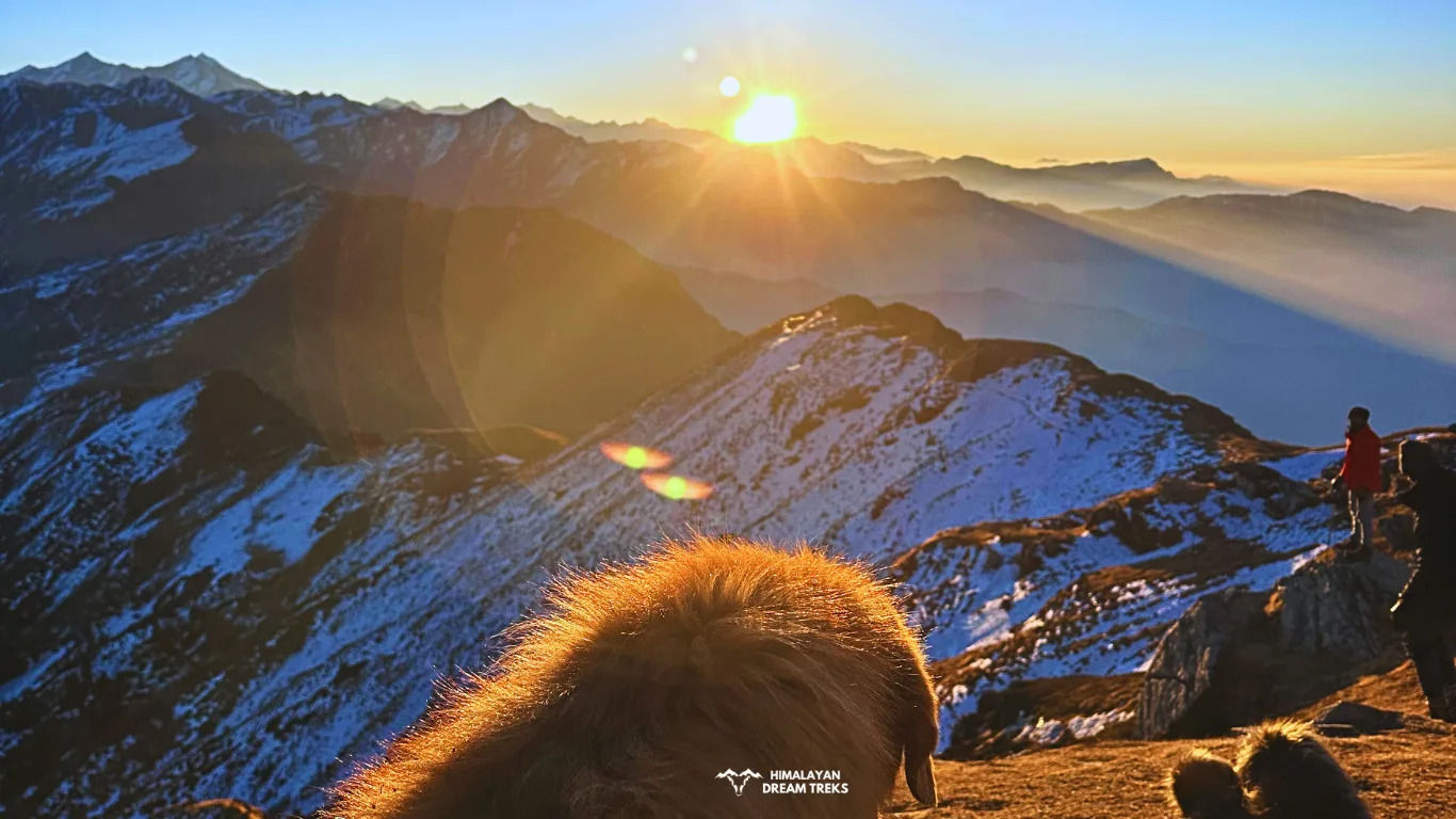 Trekkers enjoying the breathtaking sunrise view from a Himalayan peak, with golden hues lighting up the sky.